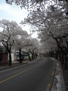 Rue de Gyeongju