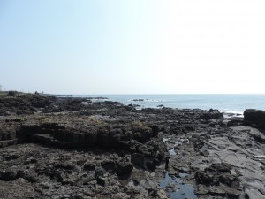 Sud est de Jeju-1