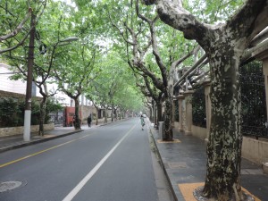 Rue de la concession française