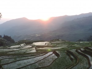 Yuanyang rice terace