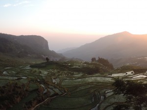 Terrasse de riz de Yuanyang