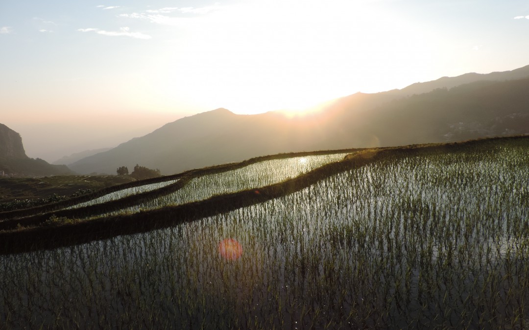 Dernières heures en Chine