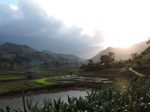 Terrasse de riz de Sa Pa