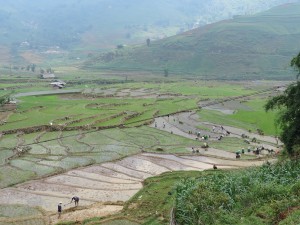 Ca bosse plus qu'en Chine