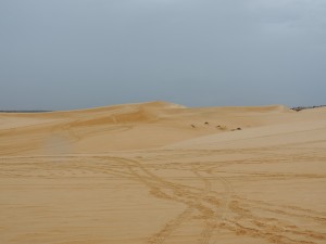 Dunes blanches 2