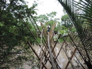 Pont en bambou