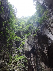 Dans les Batu cave